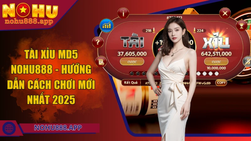 Tài xỉu MD5 Nohu888 - Hướng dẫn cách chơi mới nhất 2025